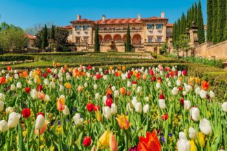 These two surprising southern cities have become a must-visit destination, according to local experts