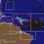 7 million tons of sargassum are floating towards Mexico and the Caribbean