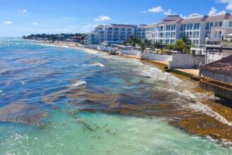 Caribbean hotspots are already seeing the first arrivals