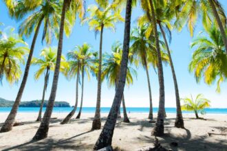 Is Costa Rica safe to visit? Travel advice 2026