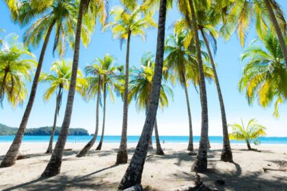Is Costa Rica safe to visit? Travel advice 2026