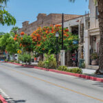 Why this Baja coastal town is the new Mexican Digital Nomad Hotspot