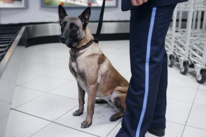 Will you be marked upon arrival? The virtual baggage scanner