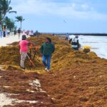 Latest satellite images reveal massive Sargassum arrivals this season