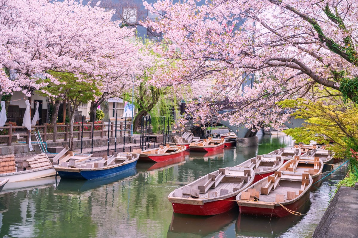 Experts name three vibrant cities as the best destinations in Asia to book now