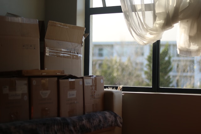 Make moving easier on your back with these providers