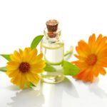 Arnica Oil Is The Quiet Luxury Of Botanical Skincare