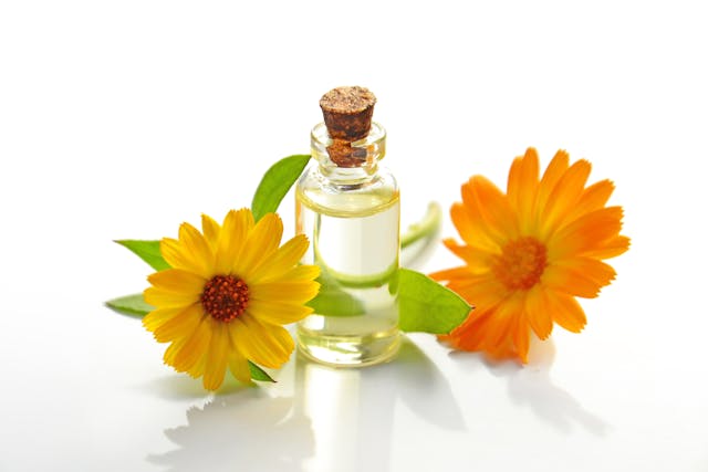 Arnica Oil Is The Quiet Luxury Of Botanical Skincare