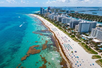 Miami Beaches are bracing for the worst Sargassum season ever
