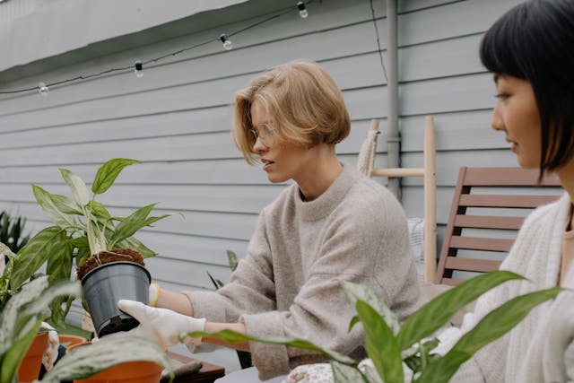The role of a greener garden