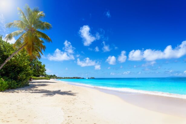 4 reasons why this beautiful island is the new hotspot of the Caribbean