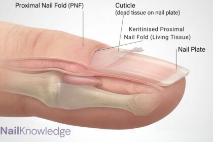 Cuticle versus living skin: what you remove versus what you leave alone