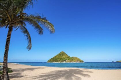 These five countries now require all travelers to complete a digital entry permit