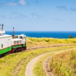 This unknown Caribbean train is a bucket list trip to experience the tropics