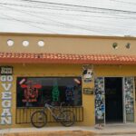 Best vegan-friendly cities around the world 2024