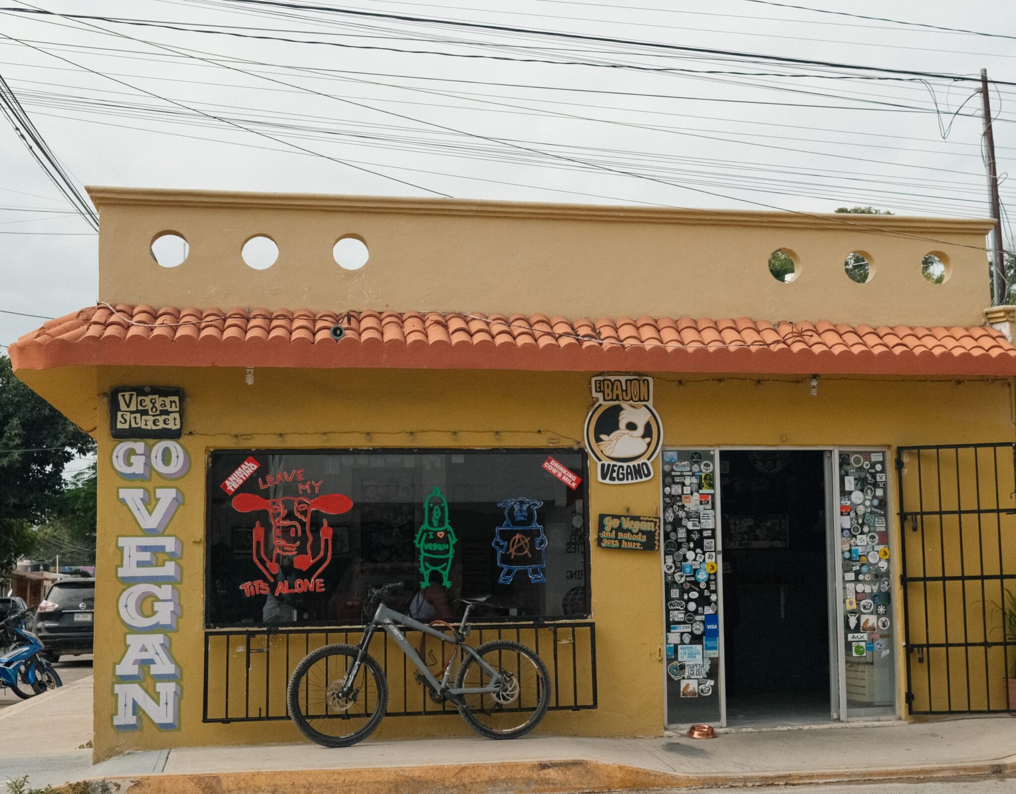 Best vegan-friendly cities around the world 2024