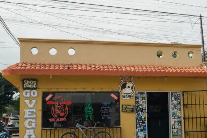 Best vegan-friendly cities around the world 2024