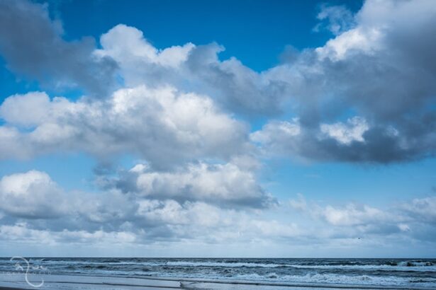 Mindfulness on the Spot | Mindworks Meditation & Buddhist Path