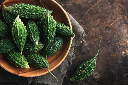 Certainly! Here’s a rewritten engaging title using Bitter Gourd (Bitter Melon) Recipes formatted with HTML tags:


<h3>Deliciously Unique Bitter Gourd Recipes to Savor</h3><br />
“`<br />
<br />
Feel free to ask if you need further modifications or additional titles!