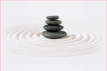 Exploring the Four Boundless Qualities: A Journey through Mindworks Meditation and the Buddhist Path