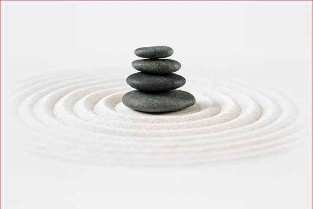 Exploring the Four Boundless Qualities: A Journey through Mindworks Meditation and the Buddhist Path