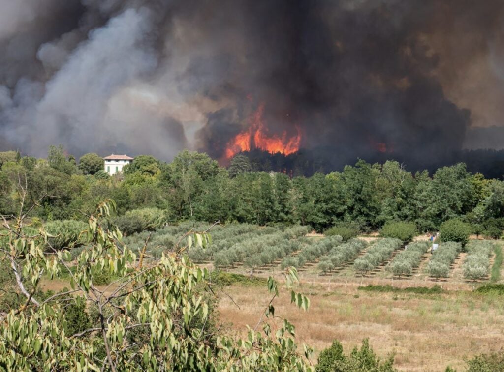 France Wildfire