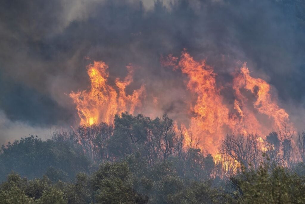 Greece fires