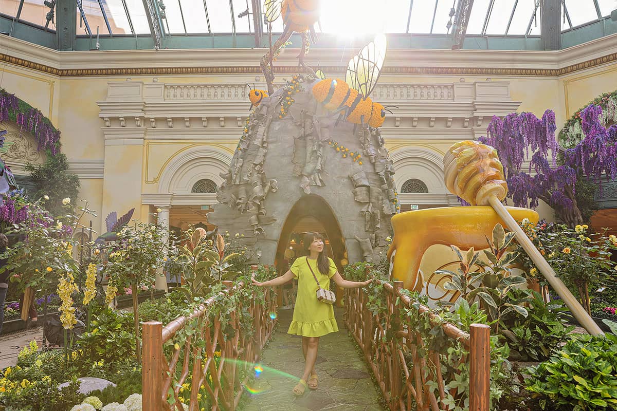Immerse Yourself in Nature’s Splendor at the Bellagio Conservatory & Botanical Gardens