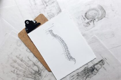 Integrating Chiropractic Care into Your Wellness Routine  
How Chiropractic Practices Contribute to a Holistic Healthy Lifestyle