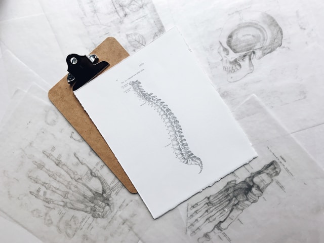 Integrating Chiropractic Care into Your Wellness Routine  
How Chiropractic Practices Contribute to a Holistic Healthy Lifestyle