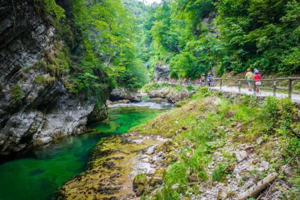 Nailing Your Visit to Vintgar Gorge: Tips for a Smooth Return Trip