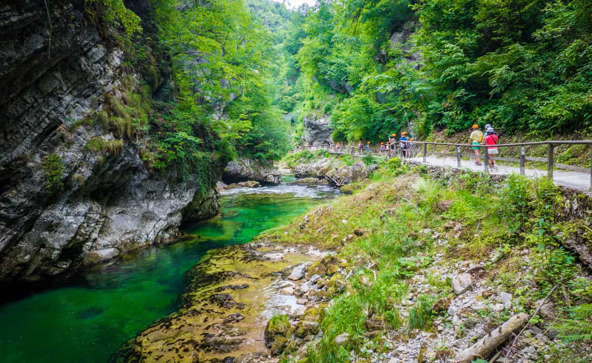 Nailing Your Visit to Vintgar Gorge: Tips for a Smooth Return Trip