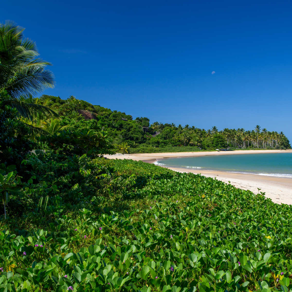 Outeiro Beach in Trancoso, Bahia, Brazil