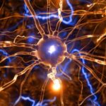 Study Reveals the Adaptability Boost from Mindful Breathing  
Discover How Mindful Breathing Enhances Your Flexibility