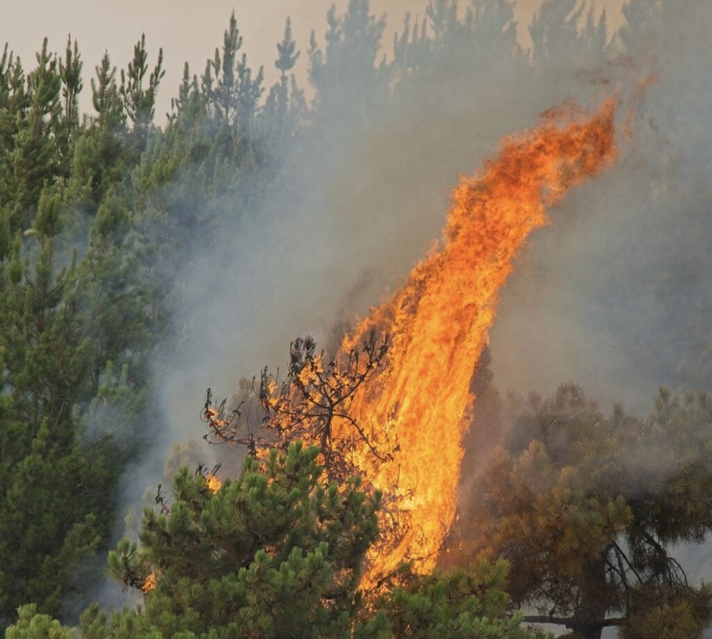 Wildfire in Spain