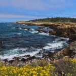 Navigating the Stunning Journey from San Francisco to Los Angeles by Road