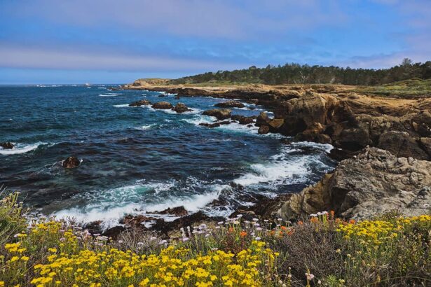 Navigating the Stunning Journey from San Francisco to Los Angeles by Road