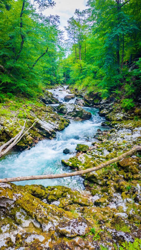 river running through vintgar gorge
