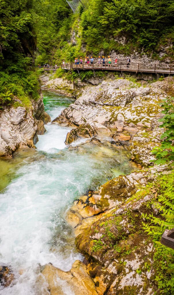 river running through Vintgar Gorge