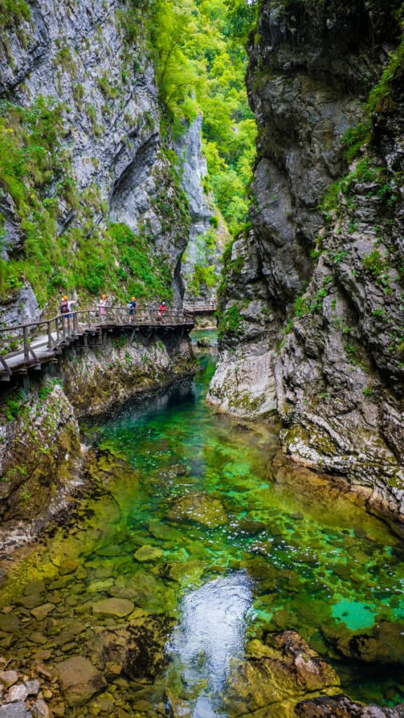 people walking on boardwalk through vintgar gorge