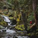 Discover the Top 7 Must-Do Activities in Port Angeles, WA: Unleash Your Inner Adventurer with Local Insider Tips