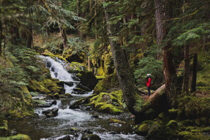 Discover the Top 7 Must-Do Activities in Port Angeles, WA: Unleash Your Inner Adventurer with Local Insider Tips