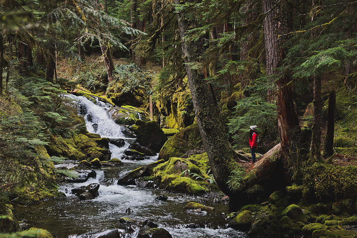 Discover the Top 7 Must-Do Activities in Port Angeles, WA: Unleash Your Inner Adventurer with Local Insider Tips