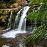 Liffey Falls Tasmania framed by fern