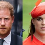 Prince Harry & Meghan Markle's Relationship with Princess Eugenie Update