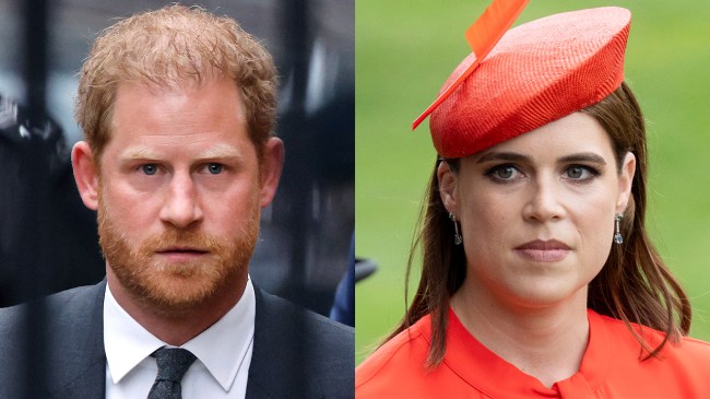 Prince Harry & Meghan Markle's Relationship with Princess Eugenie Update