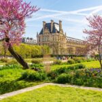 Louvre palace and Tuileries gardens in spring, Paris, France