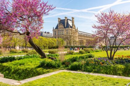 Louvre palace and Tuileries gardens in spring, Paris, France