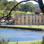 a tree over a lake with port Arthur historic buildings in the background